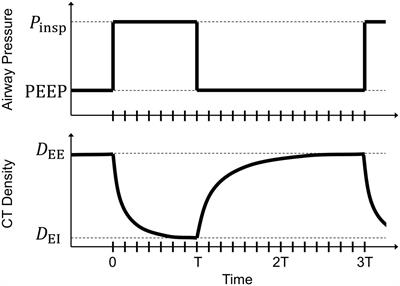 Effects of Lung Injury on Regional Aeration and Expiratory Time Constants: Insights From Four-Dimensional Computed Tomography Image Registration